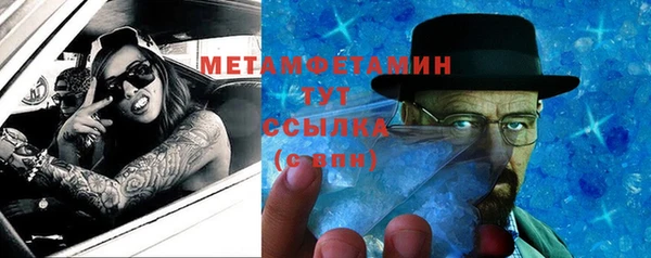 шишки Верхний Тагил