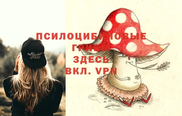 мдма Бородино