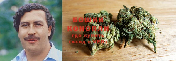 шишки Верхний Тагил