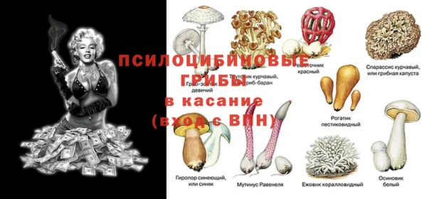 герыч Верея