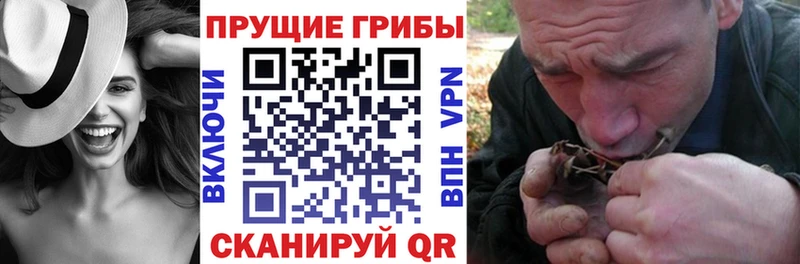 Купить  Котлас  Галлюциногенные грибы Magic Shrooms 